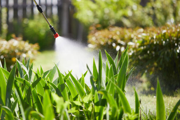 Tamper-Resistant Bait Stations for Rodents in Farmington