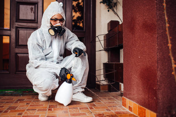 Attic and Crawl Space Rodent Treatment in Farmington